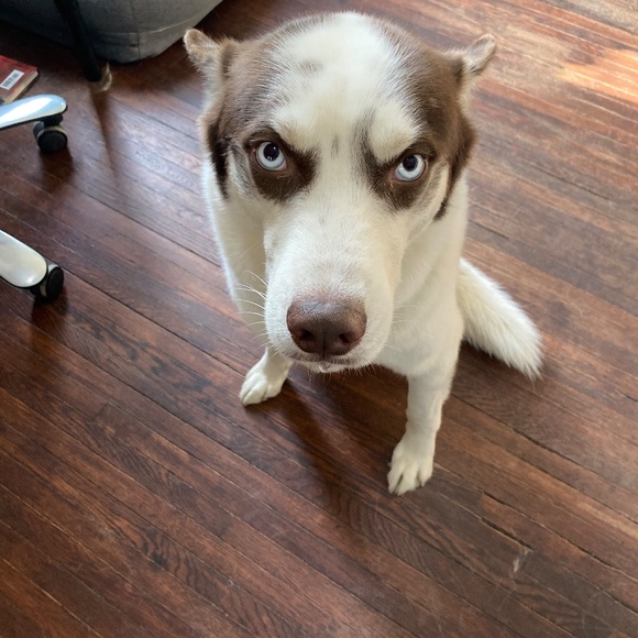 Meet your Posher, Sandra - Picture 5 of 6